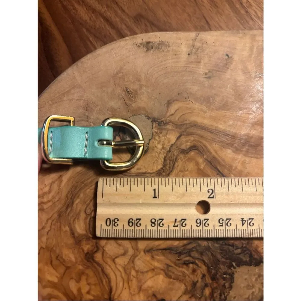 J. Crew Turqoise Skinny Leather Belt with Gold-Tone Buckle - XS - Picture 6 of 7